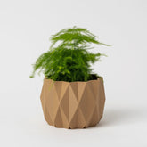 Cache-pot éco-conscient en impression 3D, fabriqué au Québec
